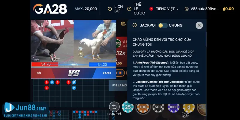 Cách chơi và các loại cược đá gà tại Jun88
