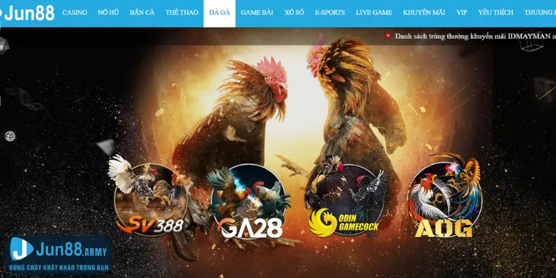 Đá Gà Jun88 - Điểm Cược Và Giải Trí Lý Tưởng Cho Anh Em