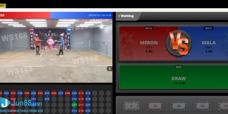 Kiến thức căn bản về đá gà online Jun88