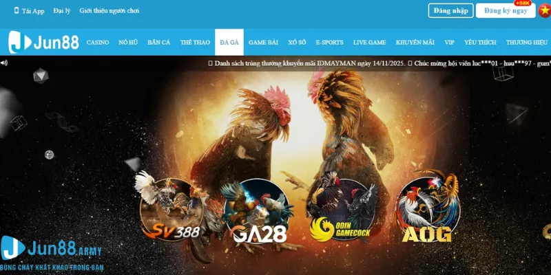 Nhà cái liên kết với các sảnh đá gà có uy tín