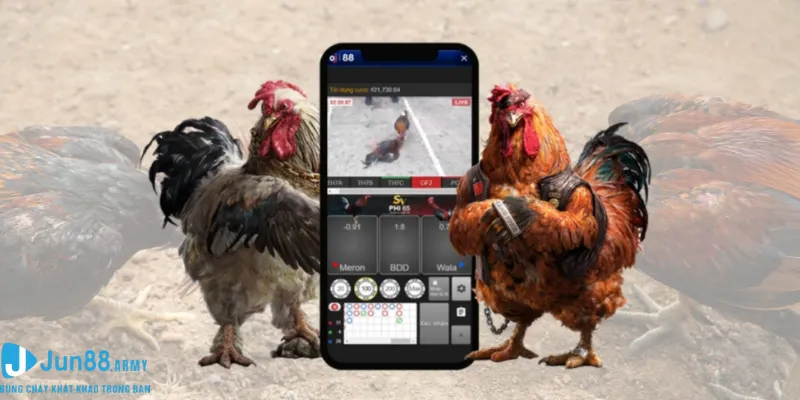 đấu kê online Jun88